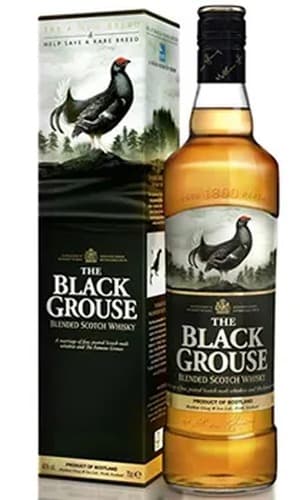 The Black Grouse